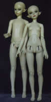 Cerberus Project luts Male and female bodies