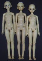 Volks SD 13 Luts and Customhouse girl bodies