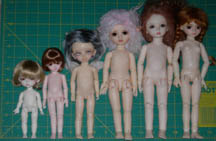 Lati Yello CH Bisou,Volks Yo SD CH petite AI Domadoll Kkotmu sizes