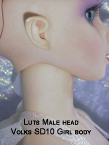 Luts male head on Volks SD10 body
