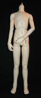Volks Limited Shiro boy body