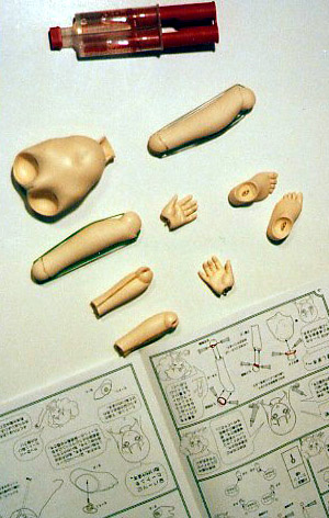 Glue joints to limbs